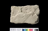 藏品(頁岩)的圖片